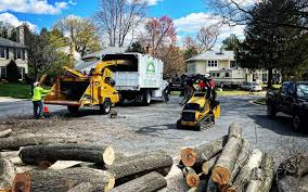 Best Tree Risk Assessment  in Hastings, NE